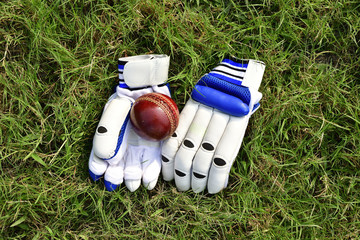 How do I choose the best cricket gloves?