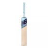 NB DC 980 CRICKET BAT