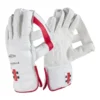 Gray Nicolls Prestige Wicket Keeping Gloves-2024