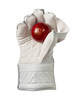 gm original le wicket keeping gloves