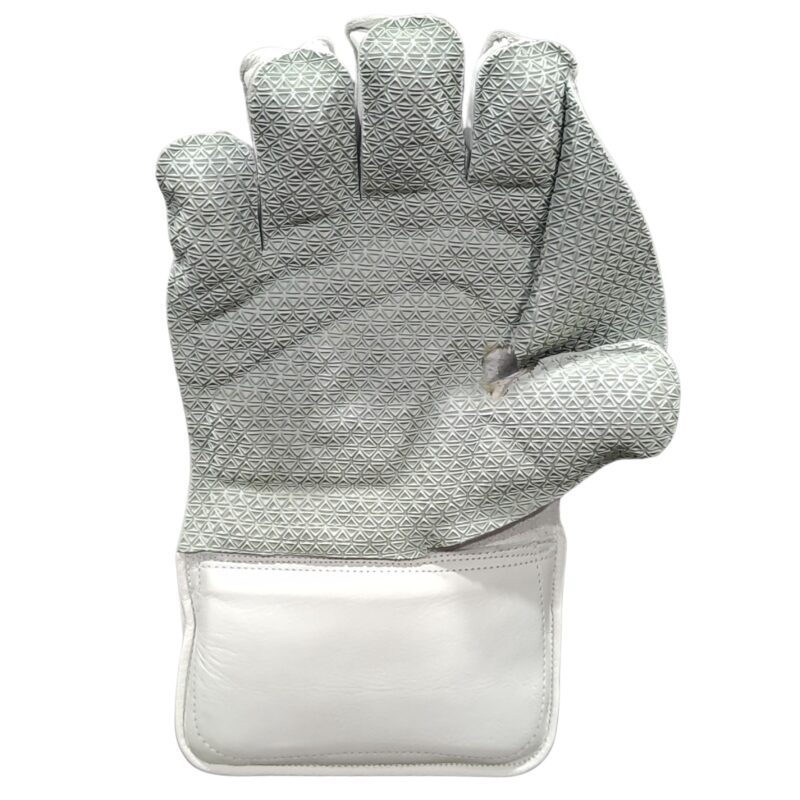 GM Original LE Wicket Keeping Gloves 2025 – Back View | Durable & Flexible Pakistan GM Original LE Wicket Keeping Gloves 2025 back view showing durability and perfect fit – Pakistan