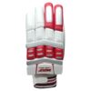 MRF Genius LE Batting Gloves 2025 Front View – Ultimate Grip & Comfort in Pakistan Front view of MRF Genius LE Batting Gloves 2025 with superior grip and comfort built in it, designed for Pakistani cricketers