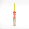 CAFA24English_20Willow_20Bats_20Tempesta_20Gen_201.0_20Pro_20Perf_20Bat_20Spine_33599c3d-0375-44f9-893a-c0233555bf3d GRAY NICOLLS TEMPESTA 1.0 4 STAR CRICKET BAT -2024