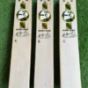 SG SUNNY GOLD PLAYERS CRICKET BAT-2024