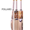 SS TON KP55 POLLARD - CRICKET BAT