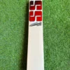 SS TON MASTER 9000 CRICKET BAT