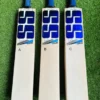 SS TON MASTER PRO 7000 CRICKET BAT