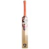 SG RP 17 Cricket Bat 2025 back view, cricket bat with superior grip in Pakistan
