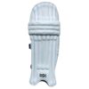 Front view of DSC Krunch 300 Cricket Batting Pads showcasing its lightweight design and traditional cane construction
