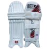 SS Player Edition Batting Pads - Front View (2025) SS Player Edition Batting Pads Front View – Premium Cricket Pads for Professional Players (2025)
