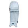 GM B55S Batting Pads front view for cricket protection