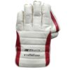 Buy Gray Nicolls GN9 Wicketkeeping Gloves 2025 – Front View | Pakistan Exclusive Buy Gray Nicolls Heritage GN9 Wicketkeeping Gloves 2025 – Premium front view for Pakistan’s keepers