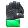 "Gray Nicolls Players Edition Wicketkeeping Gloves 2025 - Back View for Maximum Durability and Grip for Wicketkeepers in Pakistan"