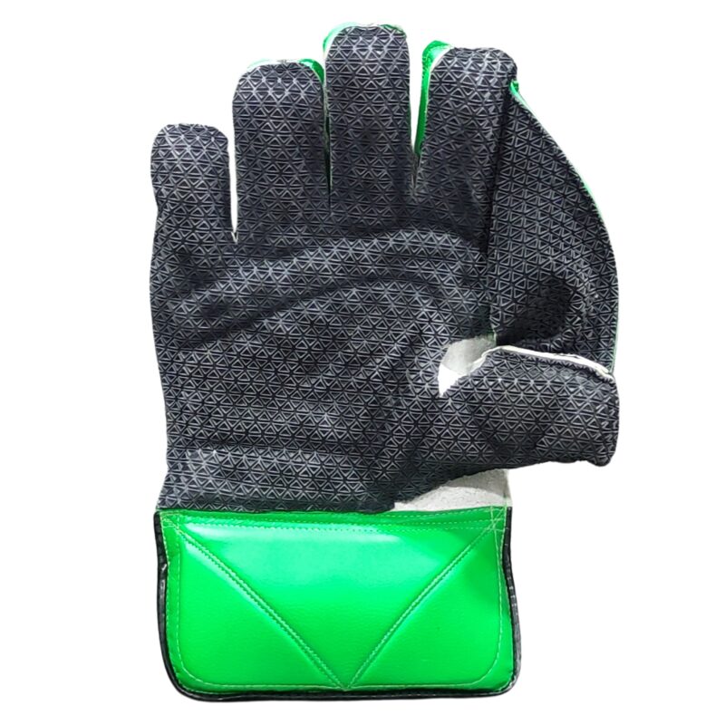 "Gray Nicolls Players Edition Wicketkeeping Gloves 2025 - Back View for Maximum Durability and Grip for Wicketkeepers in Pakistan"