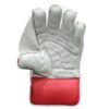 Back view of durable and stylish SS Limited Edition Wicket Keeping Gloves 2025, made for cricket players in Pakistan