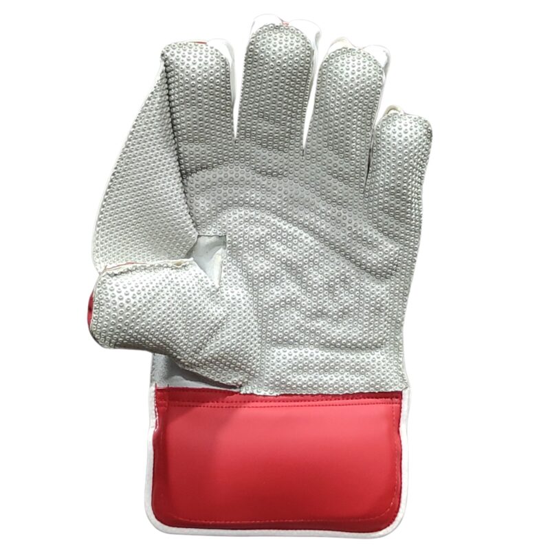 Back view of durable and stylish SS Limited Edition Wicket Keeping Gloves 2025, made for cricket players in Pakistan