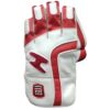 Front view of SS Limited Edition Wicket Keeping Gloves 2025 showing grip and design, made for cricket players in Pakistan