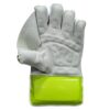 SS Players Edition Wicket Keeping Gloves 2025 Back View – Top Wicket Keeping Gloves Pakistan Back view of SS Players Edition Wicket Keeping Gloves 2025 with advanced padding, designed for Pakistani cricketers seeking excellence