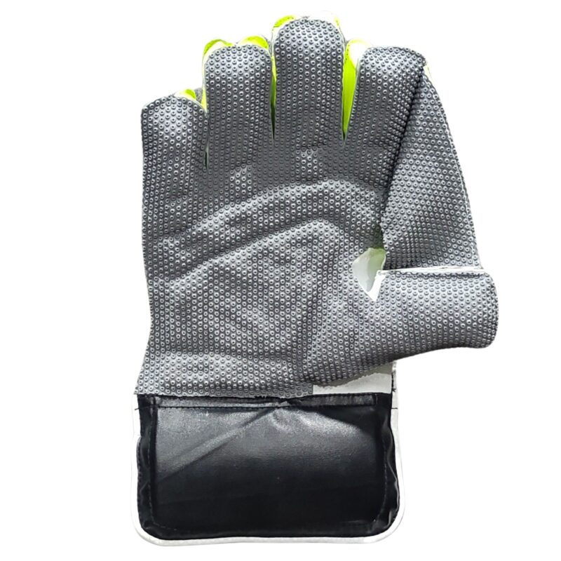 Back view of SS Professional Wicket Keeping Gloves 2025 featuring durable design and flexible protection, top choice for Pakistan cricket players