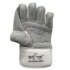 Ton Pro 3.0 wicket keeping gloves 2025 back view – advanced grip and comfort cricket gloves for Pakistani players