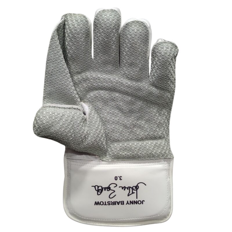 Ton Pro 3.0 wicket keeping gloves 2025 back view – advanced grip and comfort cricket gloves for Pakistani players