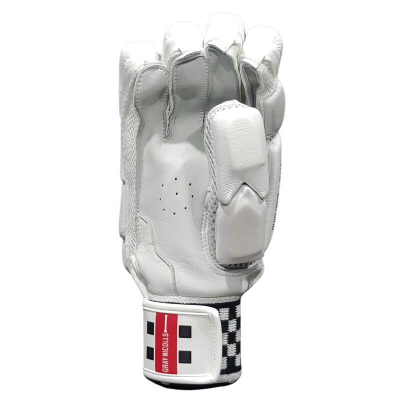 Durable back design of Gray Nicolls Legend Players Edition Batting Gloves 2025 – Best cricket gloves in Pakistan 2025