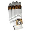 Front view of SG Camo Player Edition Batting Gloves 2025 with superior grip and comfort for Pakistani cricketers.
