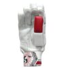 Back view of SG RP 17 Batting Gloves 2025 featuring advanced padding for cricket players in Pakistan