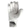 Back View of SG Test Batting Gloves 2025 - Ergonomic Design for Cricketers in Pakistan Back design of SG Test Batting Gloves 2025 showcasing superior flexibility, grip, and ergonomic fit for cricketers in Pakistan