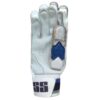 Back view of SS Aerolite Batting Gloves 2025 with breathable and ergonomic design, tailored for cricketers in Pakistan.
