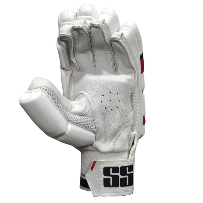 "Back view of SS Premium Super Test Batting Gloves 2025 showing ergonomic design and durability for Pakistani cricketers"