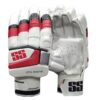 "Front and back view of SS Premium Super Test Batting Gloves 2025, showcasing comfort, protection, and grip for cricketers in Pakistan"