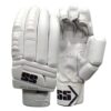 "SS Super Test Batting Gloves 2025 full front and back view – Complete protection and comfort for cricketers in Pakistan."