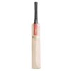 Gray Nicolls Scoop 50 Players Edition Cricket Bat front view showcasing design, quality, and performance for professional Pakistani cricketers