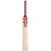 Front view of Gray Nicolls Shockwave 2.1 300 Adult Cricket Bat – Premium Cricket Bat for Pakistani Players