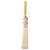 Gray Nicolls Tempesta Gen 1.0 Cricket Bat 2025 – Front View, Ideal for Pakistani Cricket Players, High-Performance Cricket Bat