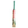 Gray-Nicolls Ventus 1.3 Cricket Bat 2025 back view showing premium craftsmanship for superior performance