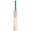 Gray-Nicolls Ventus 1.3 Cricket Bat 2025 front view for cricket players in Pakistan