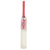 MRF 2025 Genius Grand Platinum Bat front view, ideal for Pakistani cricketers