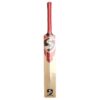 SG YBJ 19 Cricket Bat 2025 back view, cricket bat with superior grip in Pakistan