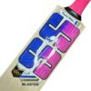 SS Sky Blaster English Willow Cricket Bat 2025 - Close-up Showing Blade Detail for Enhanced Performance