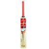 SS Sky Stunner English Willow Cricket Bat 2025 back view, highlighting its durable structure and balance, perfect for Pakistani cricketers.
