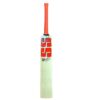 SS Sky Stunner English Willow Cricket Bat 2025 front view, perfect for Pakistani players seeking top performance and durability with free shipping across Pakistan.