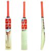 SS Sky Stunner English Willow Cricket Bat 2025 front and back view combined, showing its craftsmanship and premium quality.