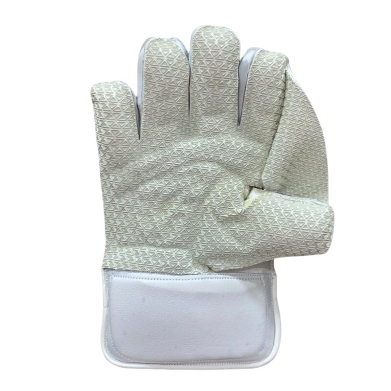 SS White Boys Cricket Wicket Keeping Gloves – Junior Wicketkeeper Gloves