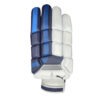 Puma EVO 1 Blue Batting Gloves – Premium Cricket Gloves