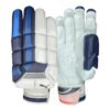 Puma EVO 1 Blue Batting Gloves – Premium Cricket Gloves