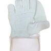 5 SS Golden Strip Wicket Keeping Gloves – White & Gold Cricket Keeping Gloves