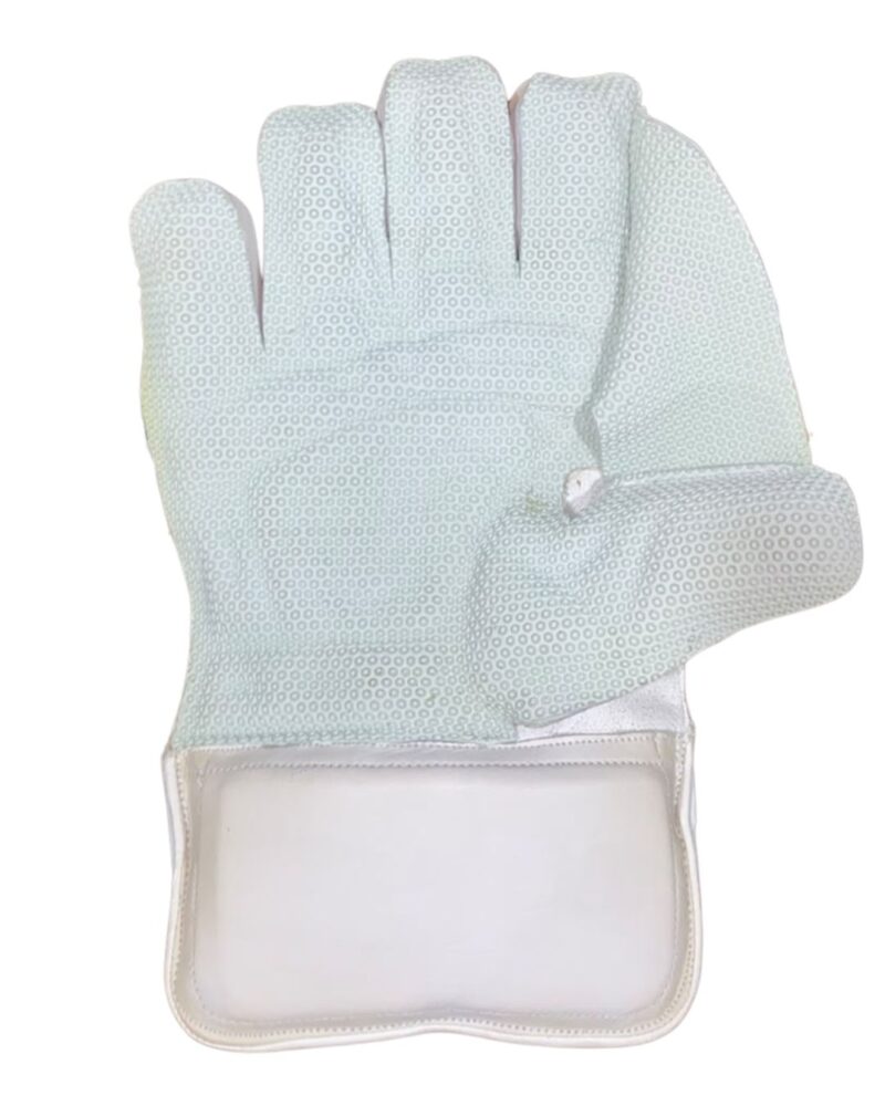 5 SS Golden Strip Wicket Keeping Gloves – White & Gold Cricket Keeping Gloves