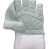 8 Gray-Nicolls White Wicket Keeping Gloves – Premium Cricket Keeping Gloves